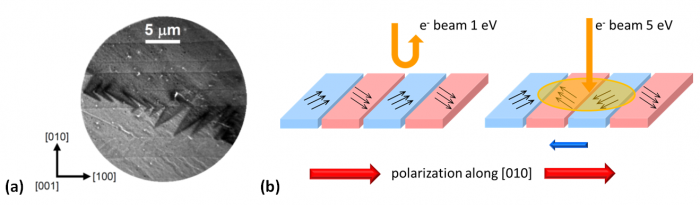 Commutation électronique de la polarisation dans des oxydes ferroélectriques