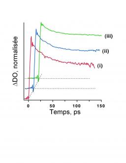 Utilisation de la phase dans des expériences d’absorption pompe – sonde