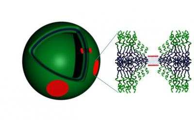 Structure de nano-vésicules hybrides lipides-polymères