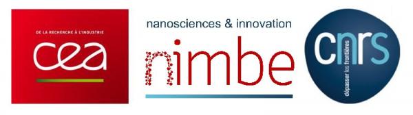 UMR 3685 NIMBE: Nanoscience and Innovation for Materials, Biomedecine and Energy
