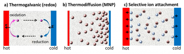 Thermoelectricity in complex fluids 