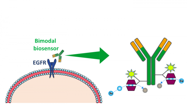 129Xe NMR-based biosensors @ LSDRM