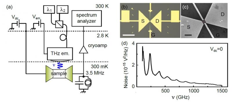 Bruit photo-assisté dans le graphène dans le domaine terahertz : la physique mésoscopique monte en fréquence