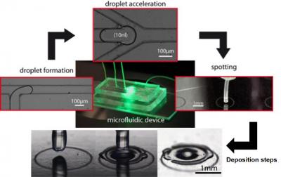 Améliorer la sensibilité d’analyse d’échantillons biologiques, avec la microfluidique