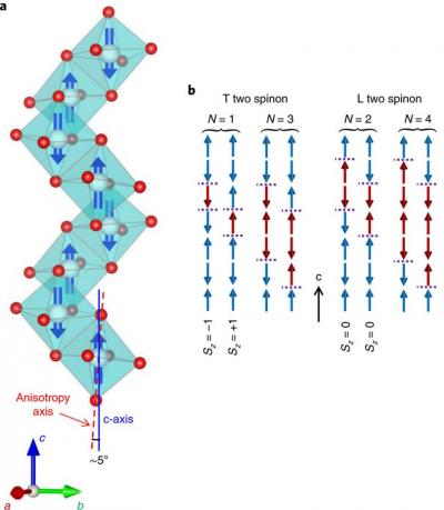La diffusion de neutrons révèle une nouvelle classe de transitions entre phases topologiques