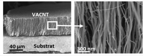 CVD pour la synthèse de nanotubes de carbone verticalement alignés et de graphène