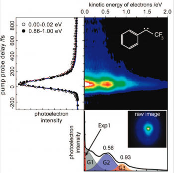 Relaxation dynamics of isolated open-shell molecules