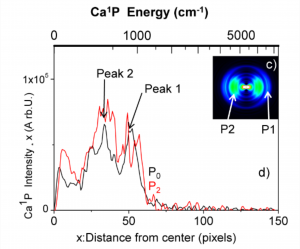 Action spectroscopy of Wan-der-Waals Clusters