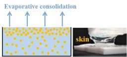 Structuration of the surface layer during drying of colloidal dispersions