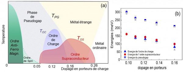 Des ordres quantiques détricotés mettent la supraconductivité à haute température critique dans tous ses états