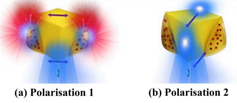 Photopolymérisation plasmonique : une voie de synthèse simple d’objets nanométriques hybrides fonctionnels