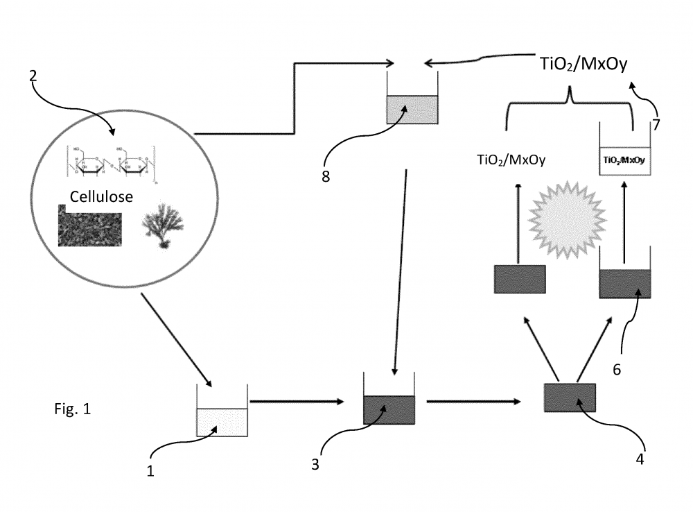 Photo-catalyseur à base de TiO2, procédés de préparation dudit photocatalyseur et son utilisation pour dégrader une biomasse