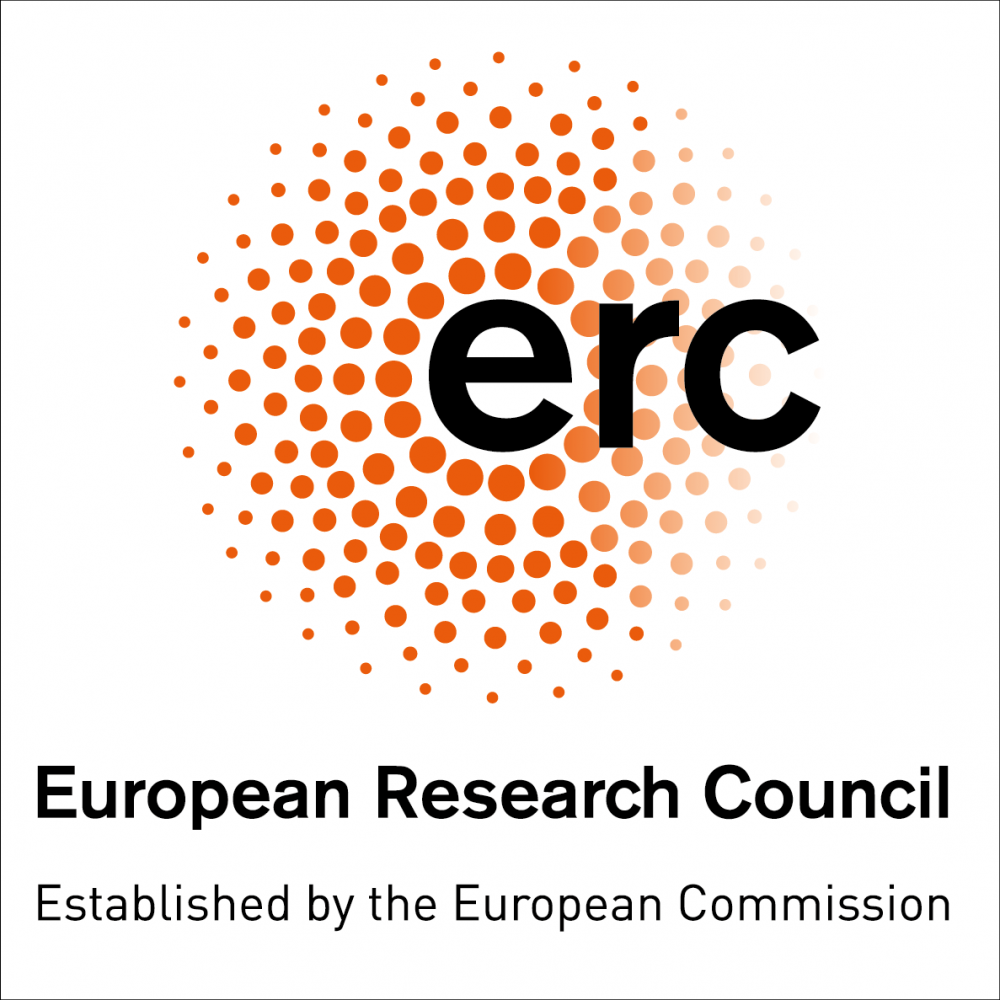 Projet ERC Consolidator Grant 2023 : P-BOT