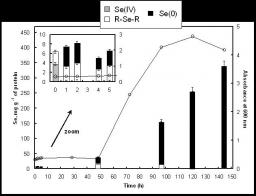 Chemical forms of selenium in the metal-resistant bacterium Ralstonia metallidurans CH34 exposed to selenite and selenate