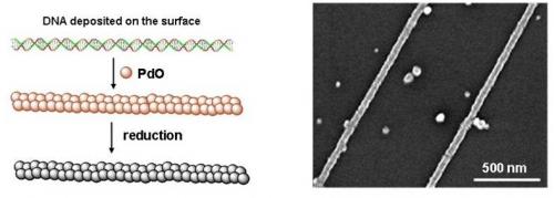 DNA based selfassembly of carbon nanotube transistors