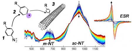 Carbon Nanotube Chemistry: new functionalities