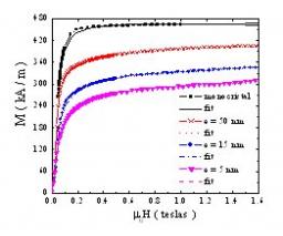 Effect of the antiphase boundaries on the magnetic behavior in epitaxial Fe3O4(111) thin films