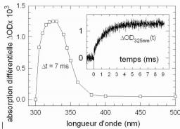 Thymine dimer formation: a time-resolved study