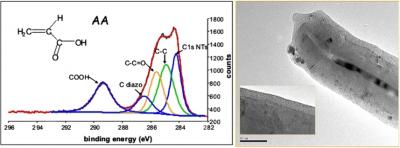 Organic electrograting on carbon nanotubes