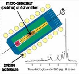 First steps toward micro-imaging: NMR procedure with a 10-fold increase in sensitivity developed by the CEA