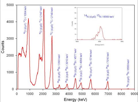 Light elements in samples from the Stardust mission analysed by ion beams at the nuclear microprobe