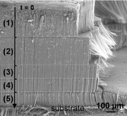 Identification du mode de croissance de multi-couches de nanotubes de carbone alignés