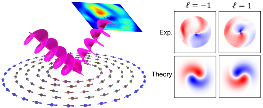 Première observation du dichroïsme hélicoïdal magnétique sur les structures  de type vortex