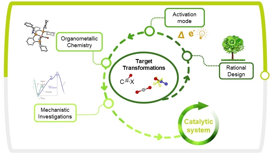 Catalytic_systems