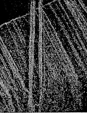 Procédé et dispositif de dépôt par pyrolyse de nanotubes de carbone ou de nanotubes de carbone dopés à l’azote / Method and device for depositing carbon nanotubes or nitrogen-doped carbon nanotubes by means of pyrolysis