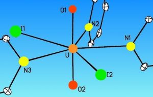 La chimie de l’ion uranyle