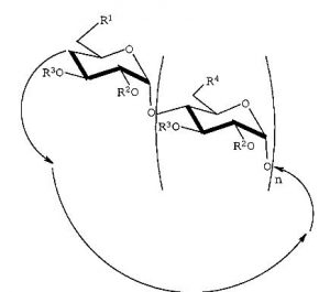 Dérivés amphiphiles de cyclodextrines, leur procédé de préparation et leurs utilisations