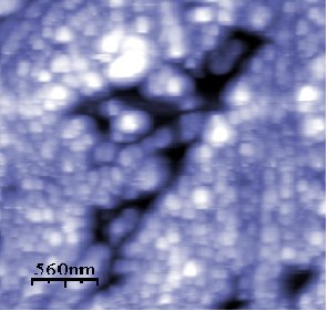 Étude AFM in situ de la piqûration de surface d’un acier inoxydable