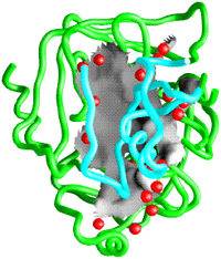 8/10/2005 : Water in cell biology, Futuroscope Poitiers