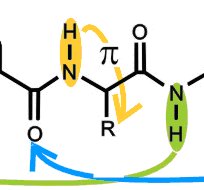 Repliement de chaînes peptides en détente supersonique