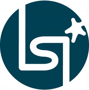 LSI - Laboratoire des Solides Irradiés