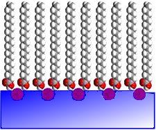 Diffraction de rayons X sous incidence rasante de monocouches à l’interface eau-air : vers la résolution atomique