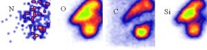 Nuclear microprobe analysis of samples from the Stardust mission