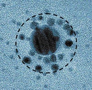 Nano-structuration et réduction de la distribution en taille de particules colloïdales métalliques par irradiation