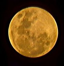 Occultation de Vénus par la Lune