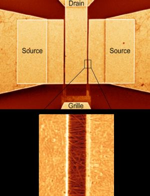 Transistors à base de nanotubes de carbone…  de plus en plus rapides