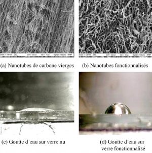 Grafting of polymers: Pegas takeoff