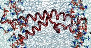 New ‘biomimetic’ membranes with proton conduction for PEMFC fuel cells