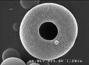 Self-organisation during a drying process for porous grains