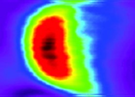 Coherent harmonics of a Free Electron Laser radiation from gas generated harmonics