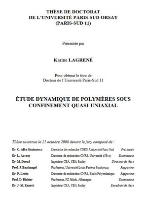 Dynamique de polymères électrolytes sous confinement quasi-unidirectionnel