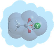 LUMO-SBM team: Biomolecular Structures