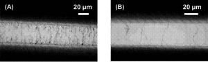 Capteurs chimiques a base de nanotubes de carbone, procédé de préparation et utilisations