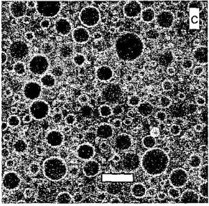 Vésicules catanioniques, leur procédé de préparation et leurs applications.  Catanionic vesicles, process for preparing same and applications thereof