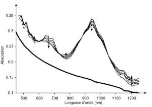 Procédé et kit de séparation de nanotubes de carbone métalliques et semi-conducteurs. Method and kit for separating metal and semiconductor carbon nanotubes