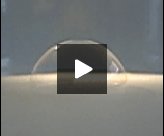 Transfer of aligned CNTs onto a solid surface